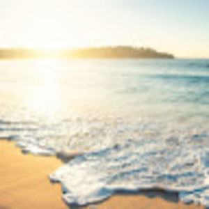 Meet your Posher, Nelson